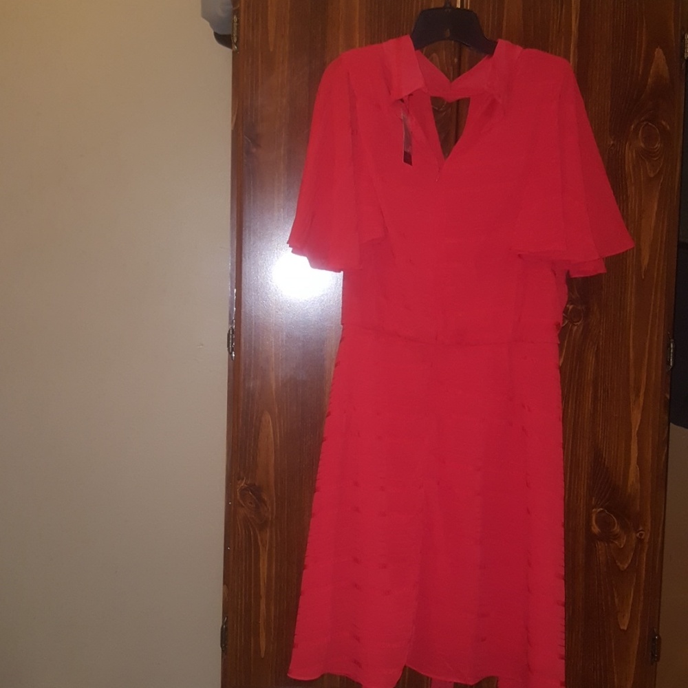 Dress - Picture 3 of 7